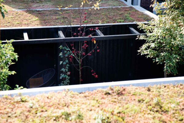 Sedumdak op moderne uitbouw – jaren ’30 woning Tuinwijk Oost Utrecht